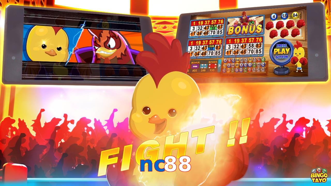 nc88