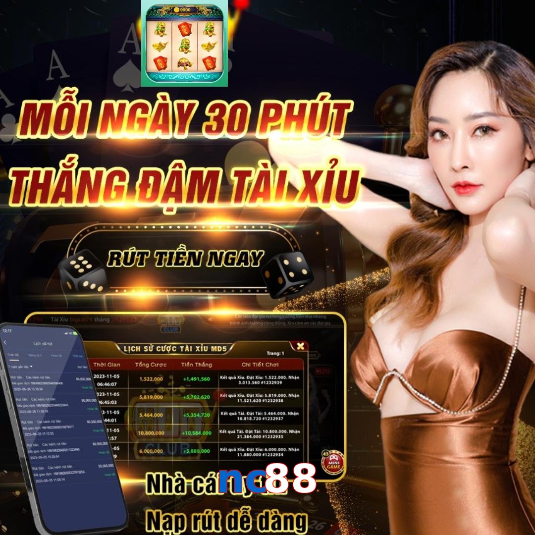 nc88