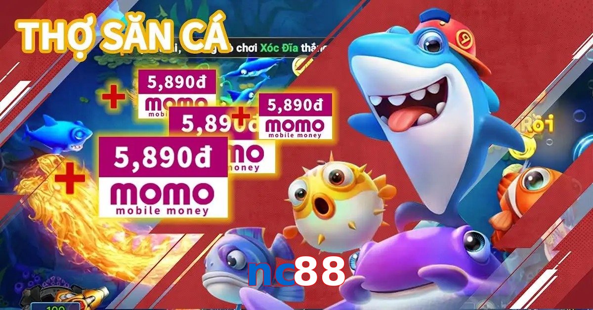 nc88