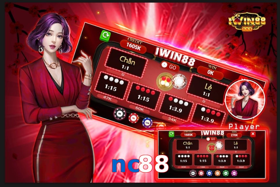 nc88
