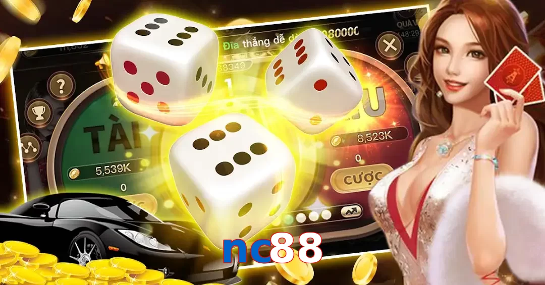 nc88