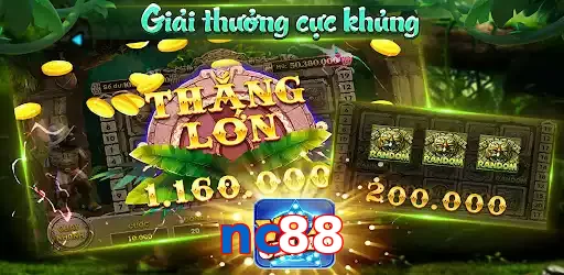 nc88