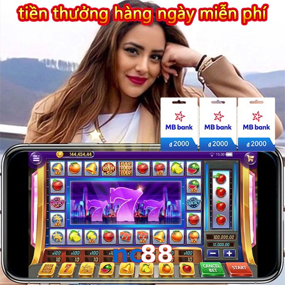 nc88